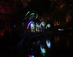 Winterlichter - Palmengarten -C-