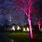 Winterlichter - Palmengarten -D-