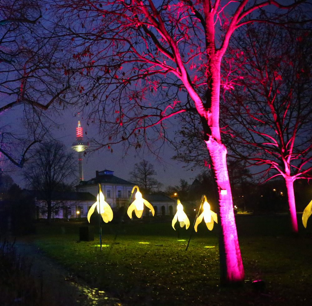 Winterlichter Palmengarten D Foto & Bild bilder, fotos, spezial