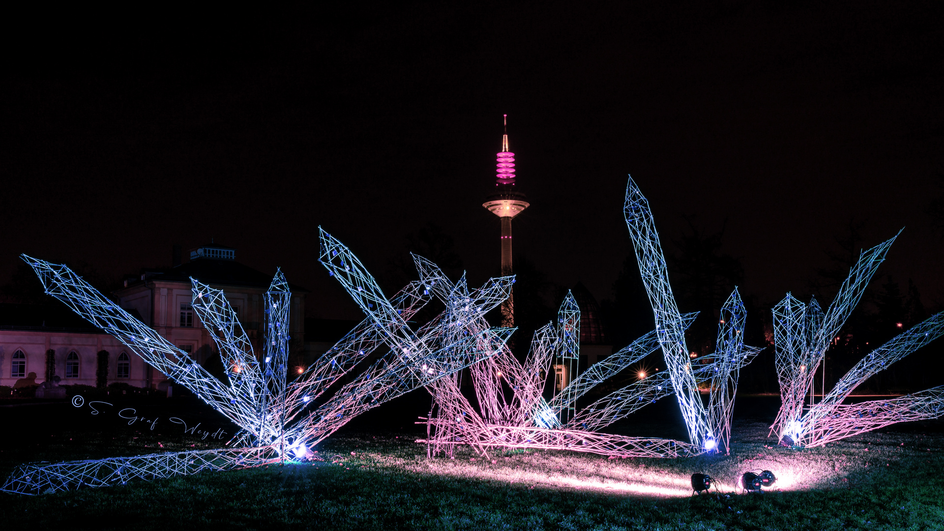 Winterlichter Palmengarten 