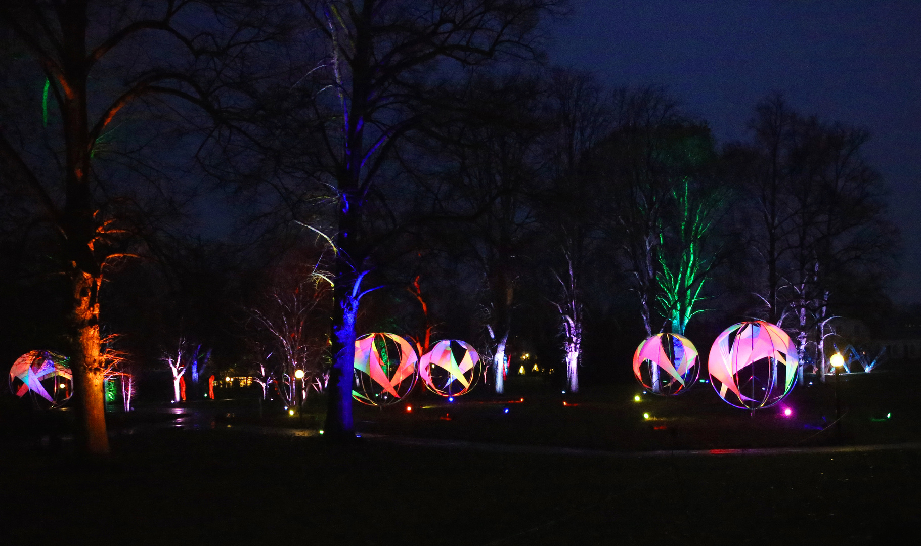 Winterlichter - Palmengarten -F-