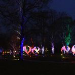 Winterlichter - Palmengarten -F-