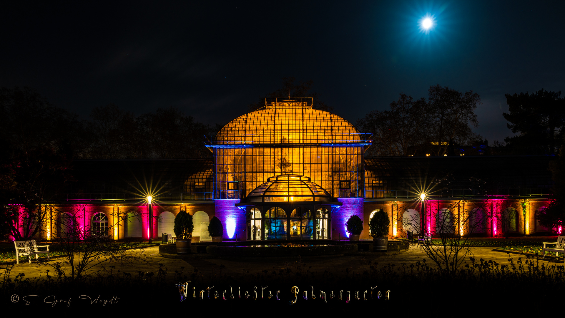 Winterlichter Palmengarten 