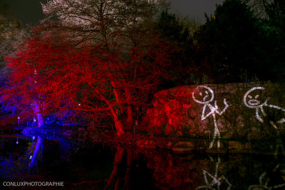 Winterlichter Palmengarten FFM