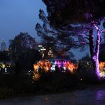 Winterlichter - Palmengarten -G-