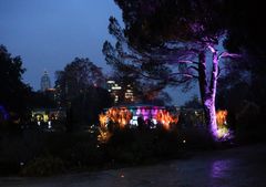 Winterlichter - Palmengarten -G-