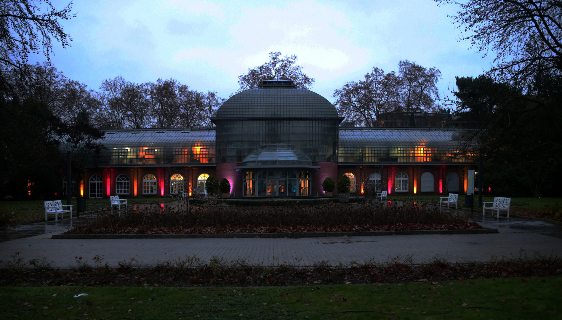 Winterlichter - Palmengarten -H-