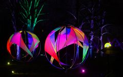 Winterlichter Palmengarten  -I- 