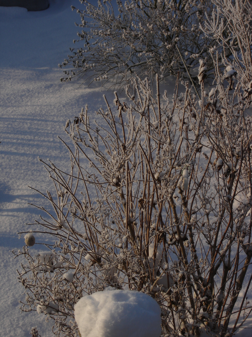 Winter_LichtundSchatten-2