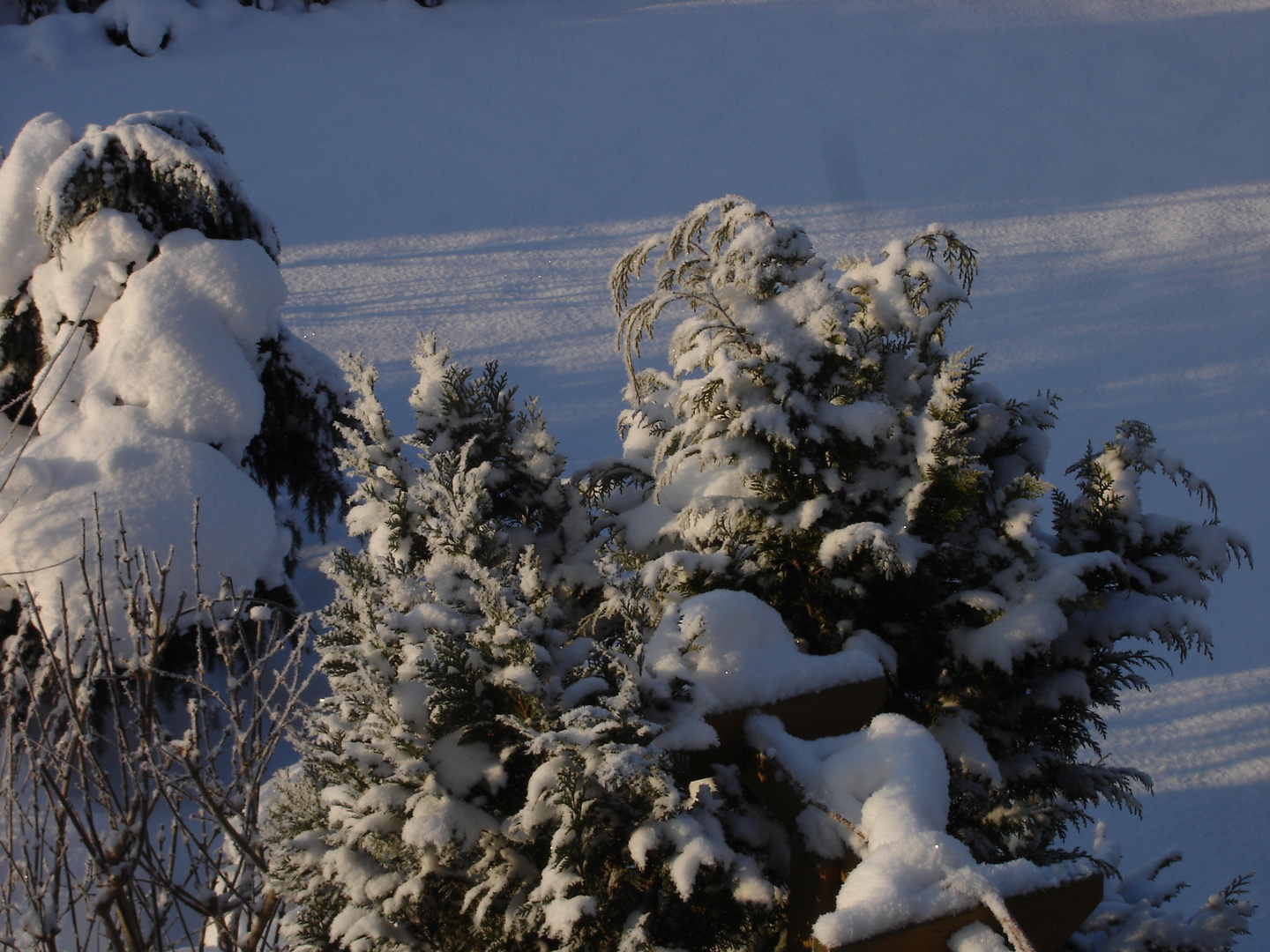 Winter_LichtundSchatten