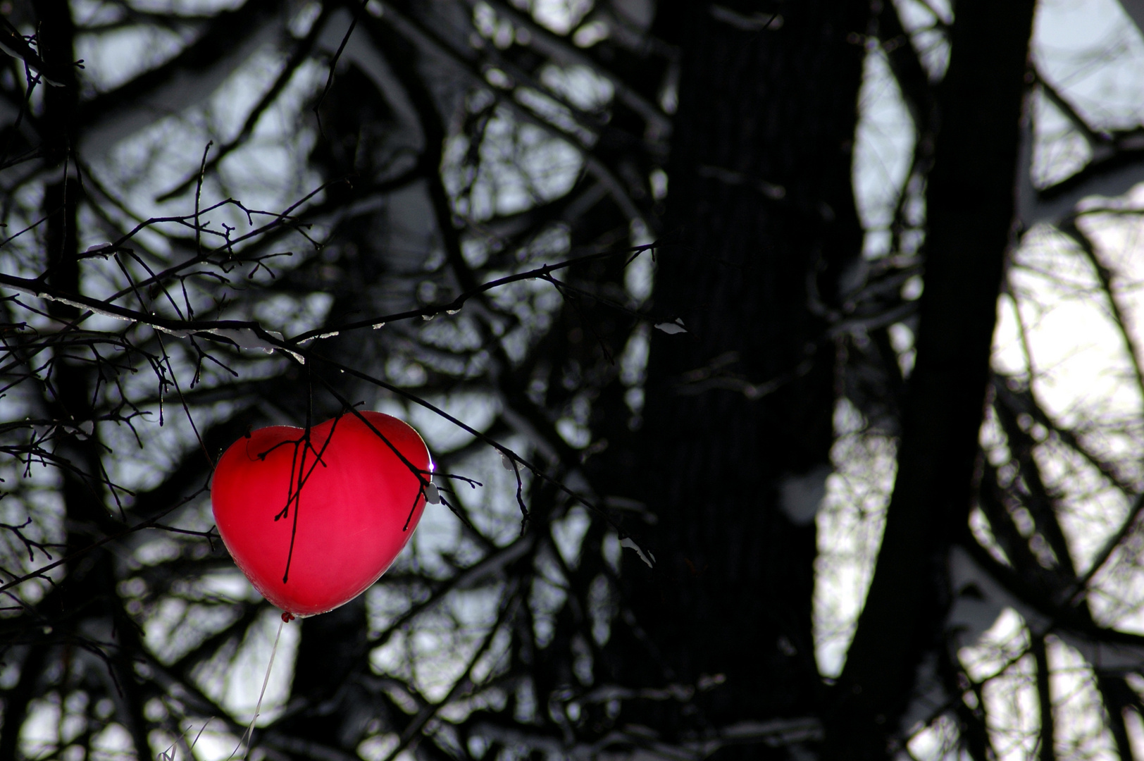 Winterliebe