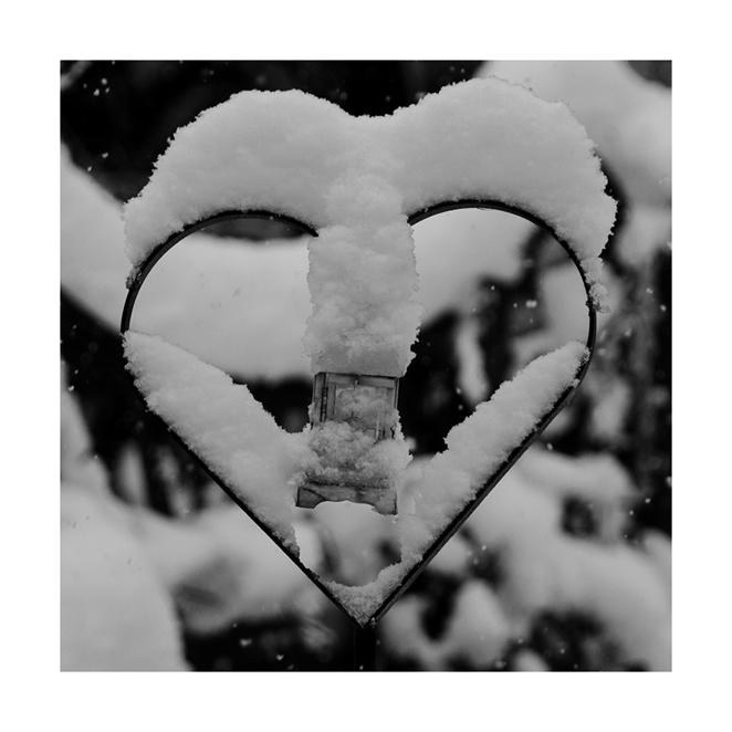 Winterliebe