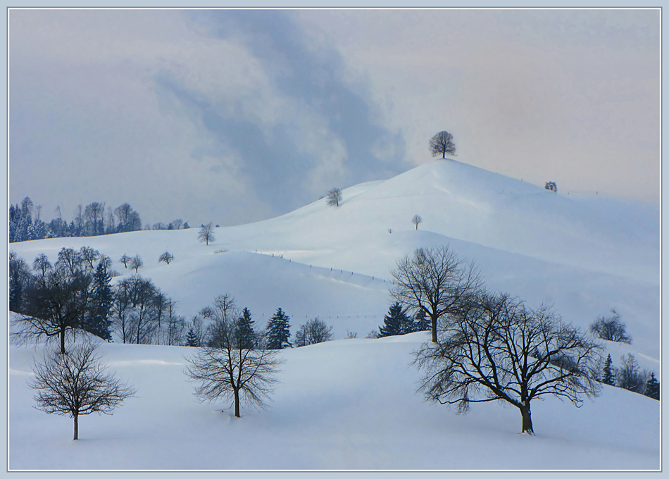 Winterlinde