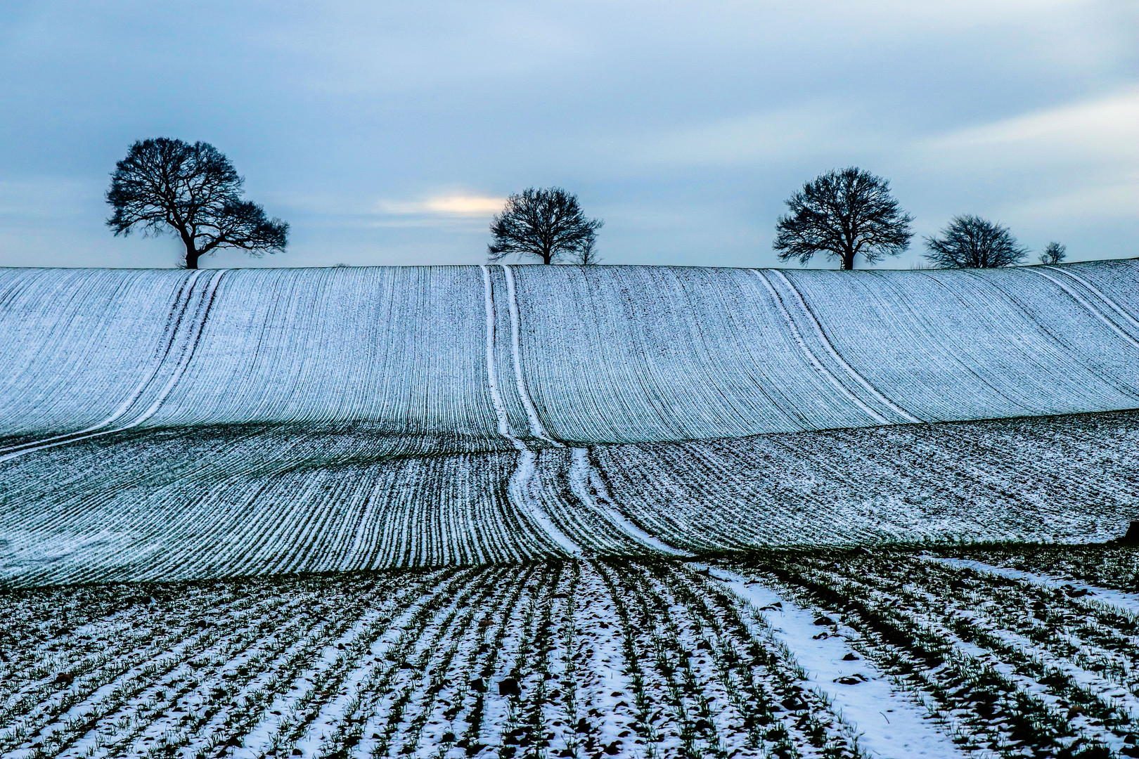 Winterlinien