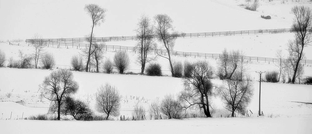 Winterlinien in schwarz-weiß