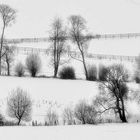 Winterlinien in schwarz-weiß