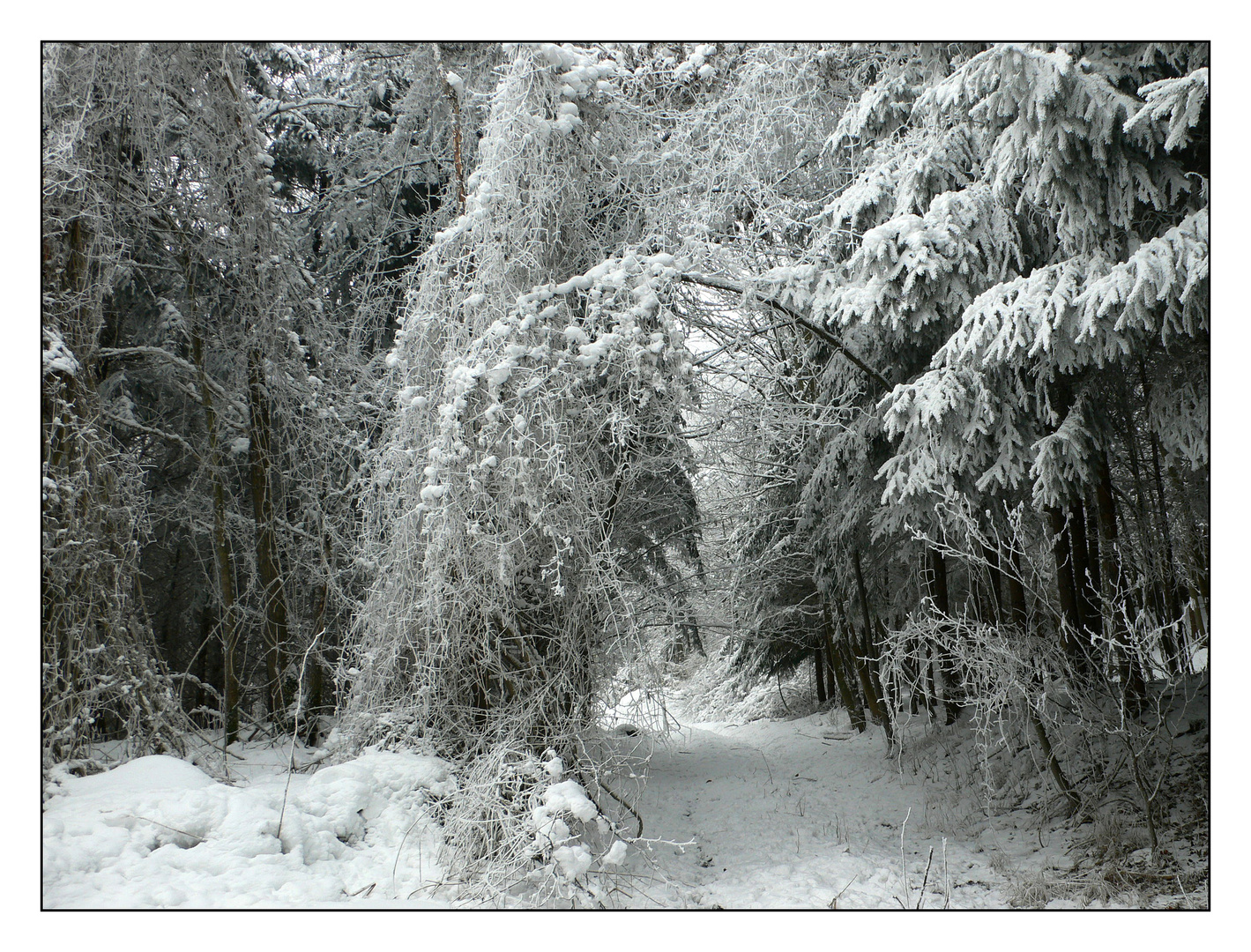 Wintermärchen