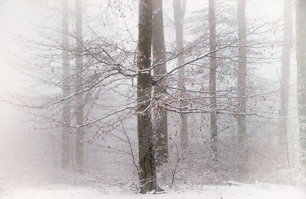 …Wintermärchen...