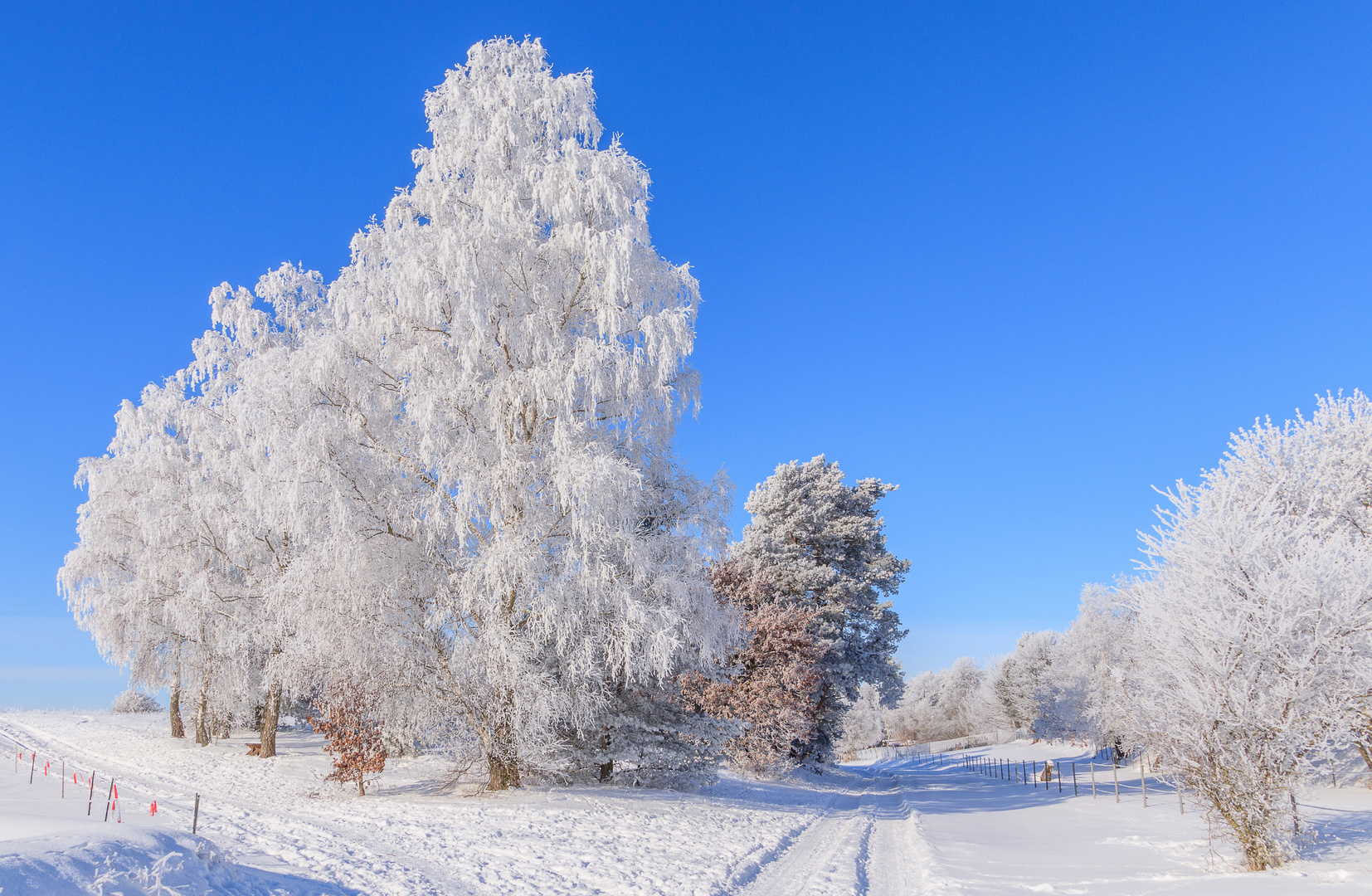 Wintermärchen 1