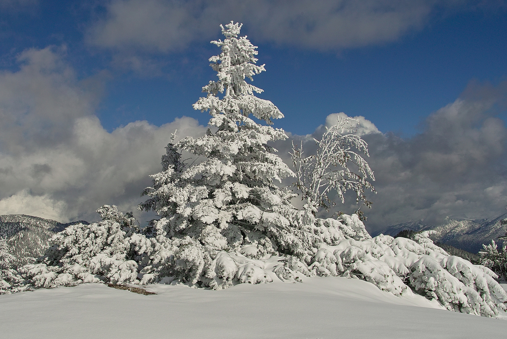 Wintermärchen 1