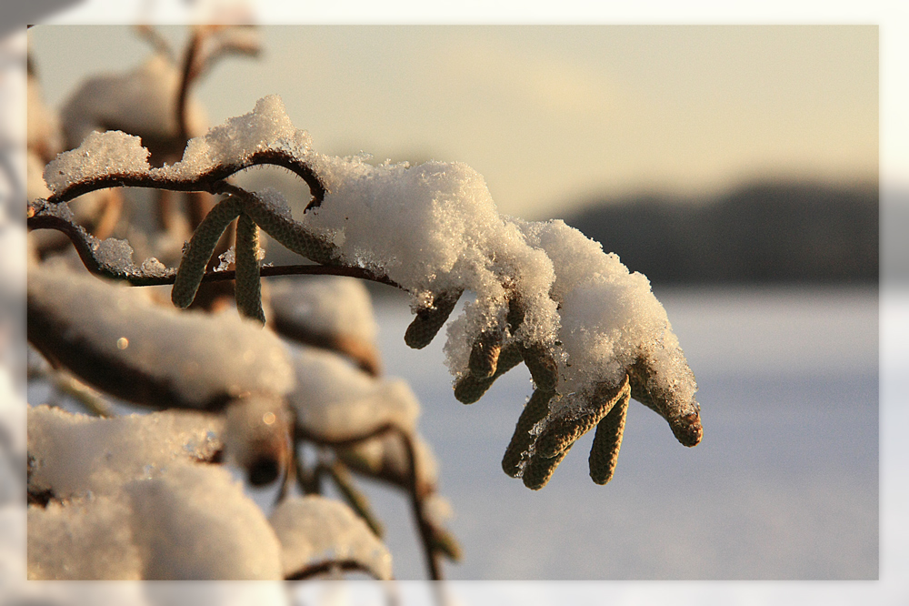 Wintermärchen 1