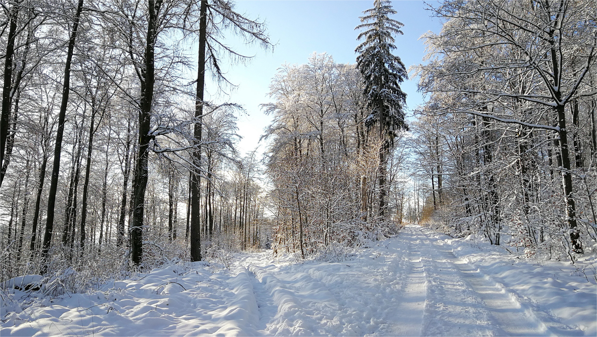 WINTERMÄRCHEN