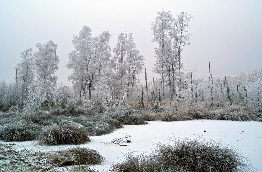 Wintermärchen