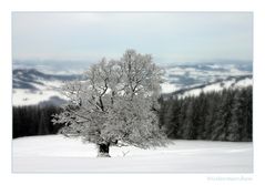 Wintermärchen