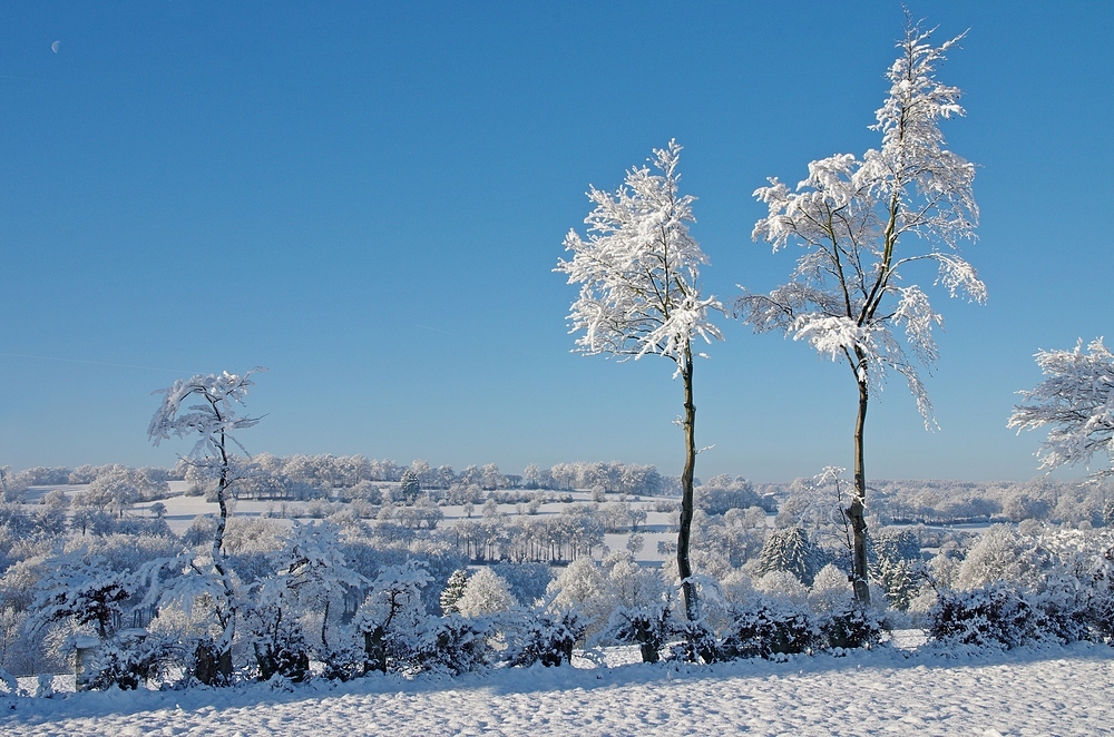 Wintermärchen 14.12.14