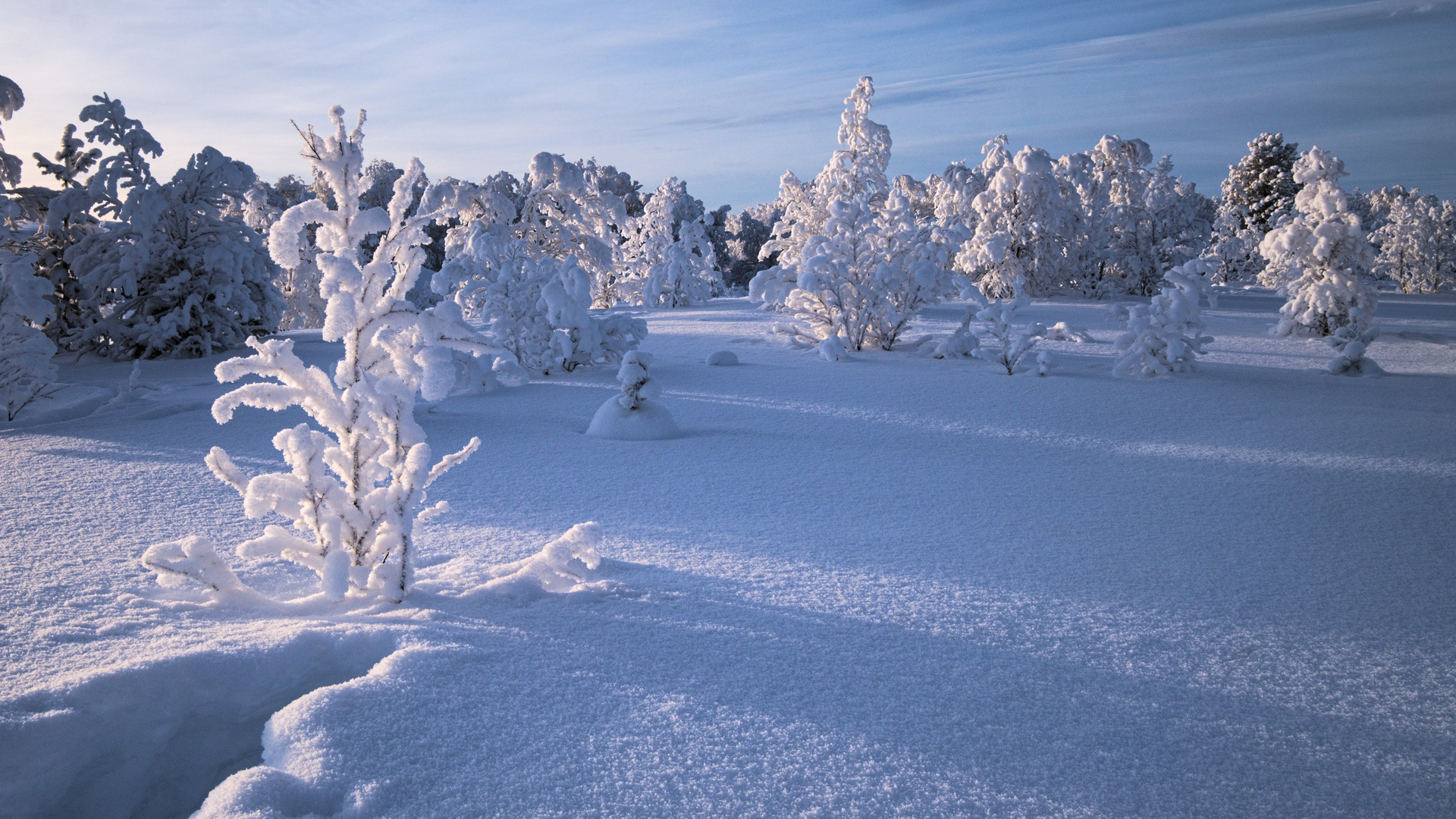 Wintermärchen Foto & Bild  europe, scandinavia, landschaft Bilder auf 