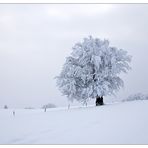 Wintermärchen