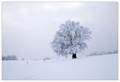 Wintermärchen