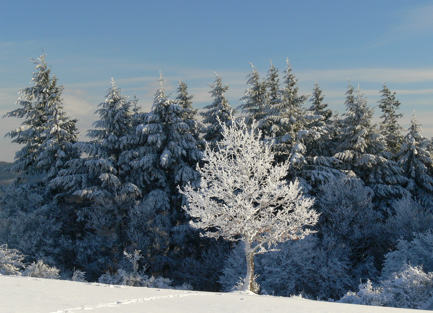 Wintermärchen...