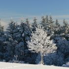 Wintermärchen...