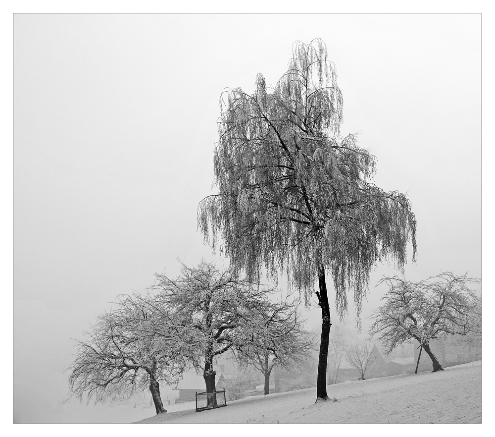 ...wintermärchen. #2..