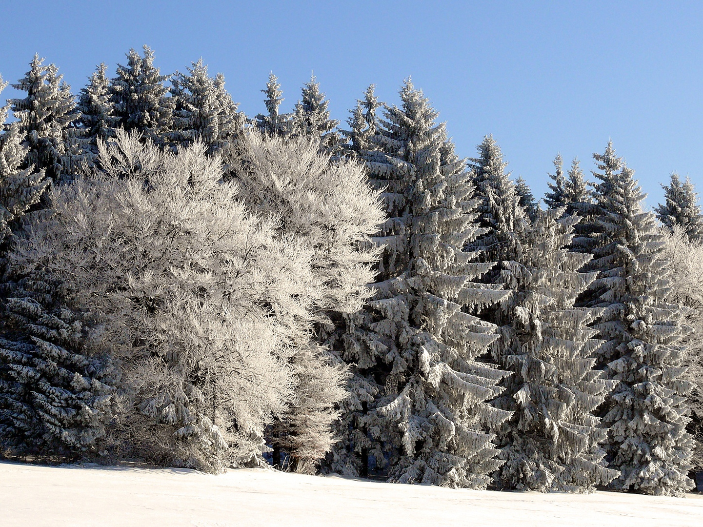 Wintermärchen