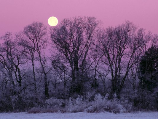 Wintermärchen