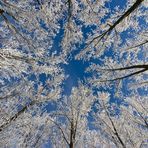 Wintermärchen