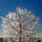 Wintermärchen...