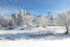 Wintermärchen...