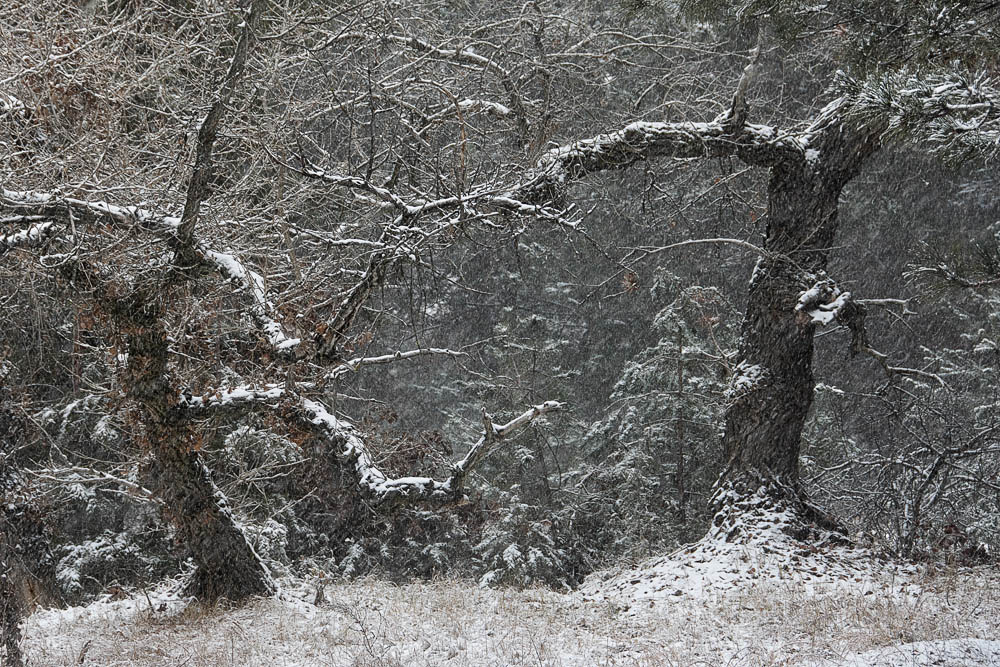 Wintermärchen