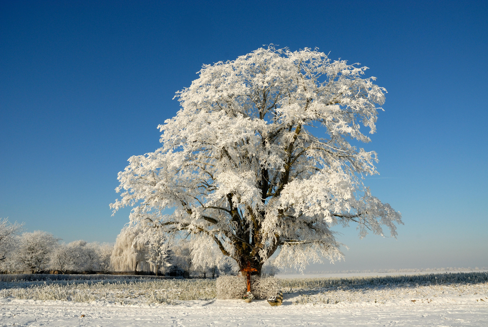 Wintermärchen