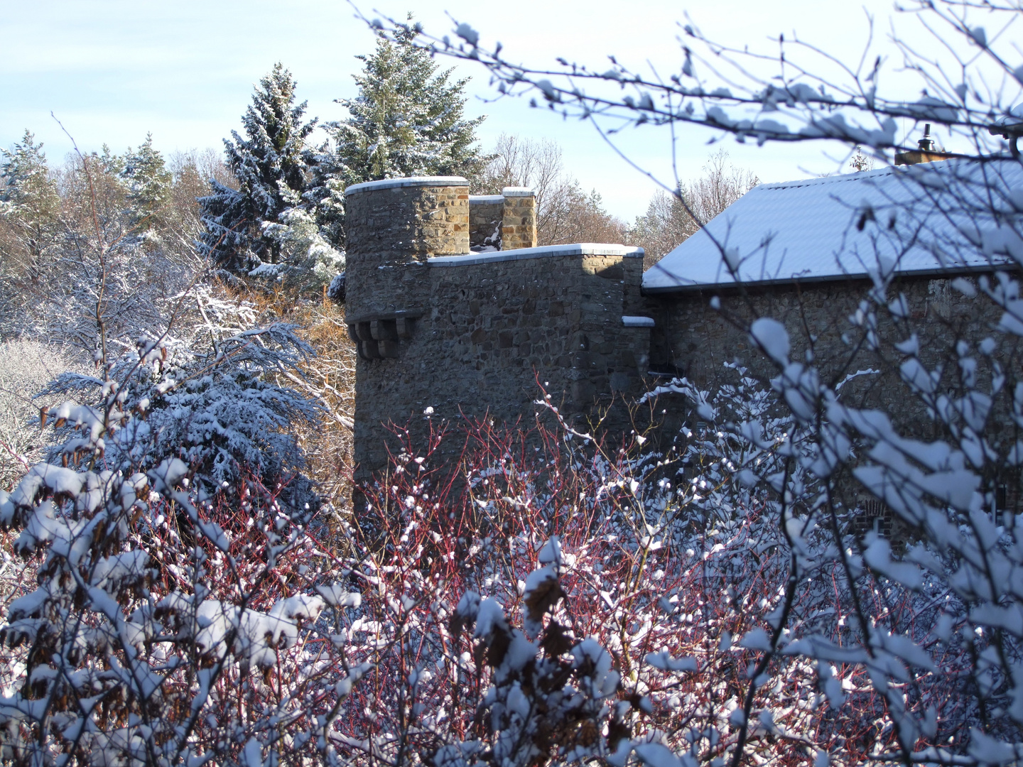 Wintermärchen (3) ...