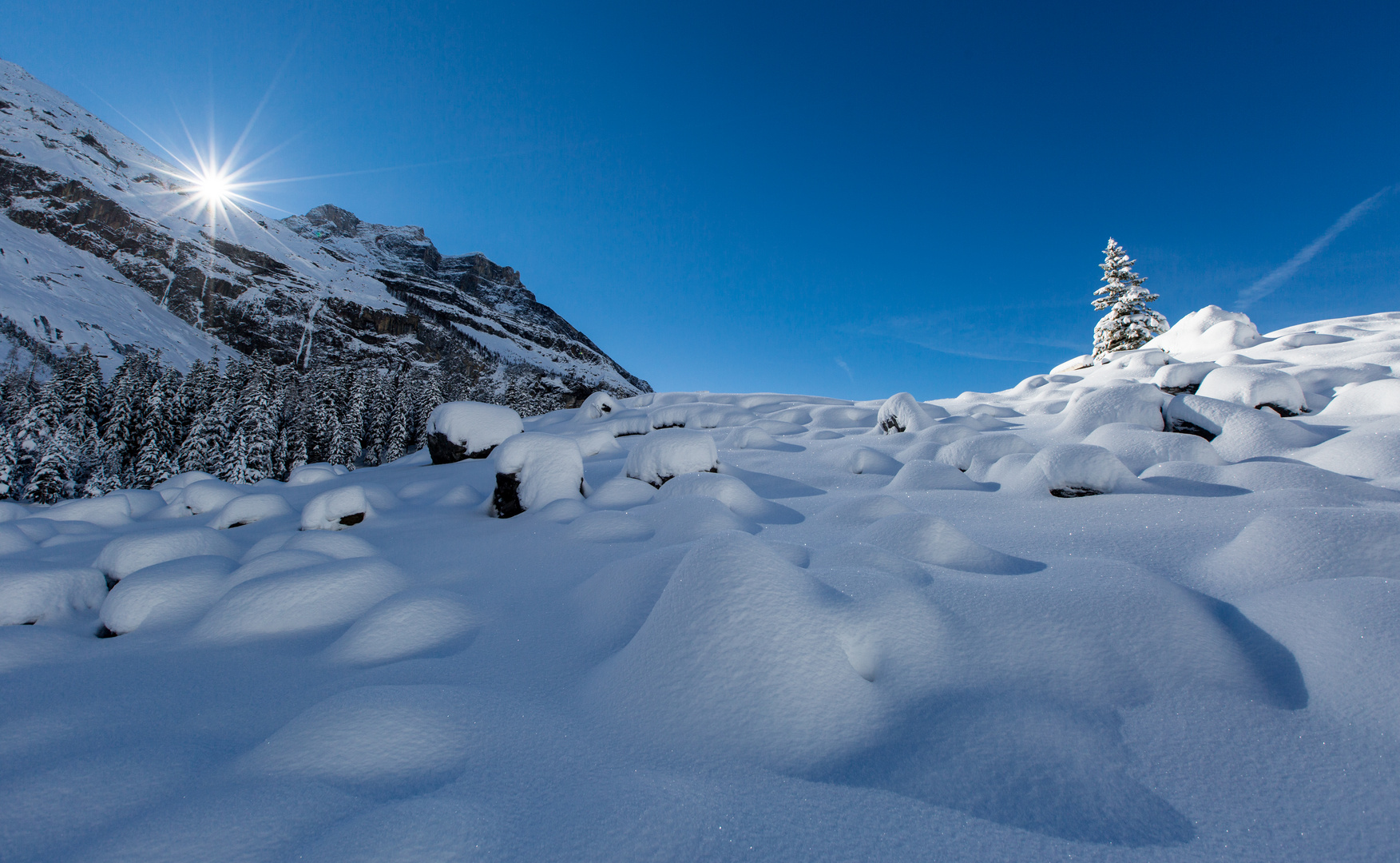 Wintermärchen (3)