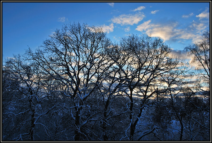 Wintermärchen....