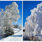 Wintermärchen