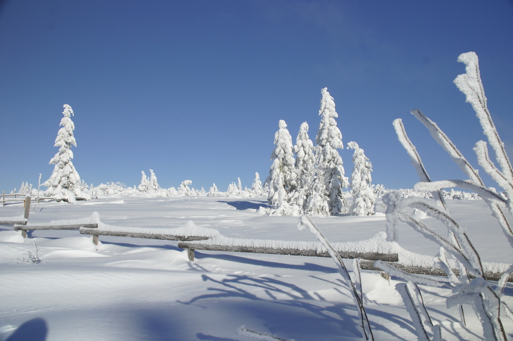 Wintermärchen