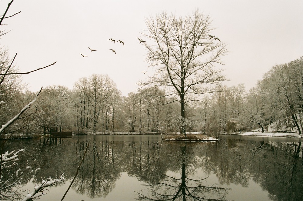 Wintermärchen