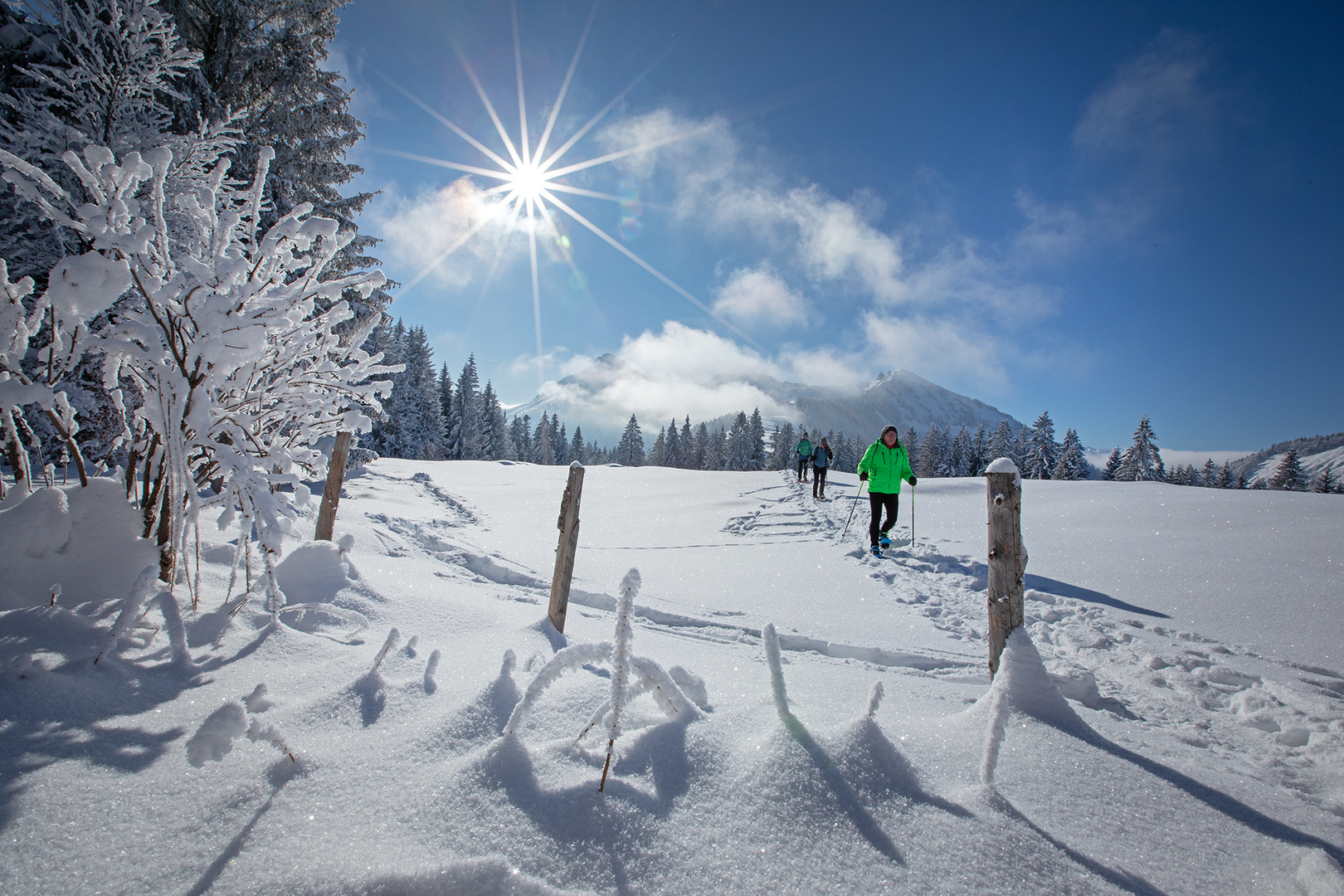 Wintermärchen Foto & Bild jahreszeiten, winter, bäume Bilder auf