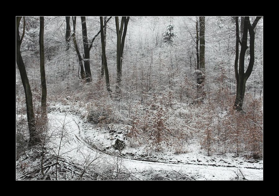 Wintermärchen